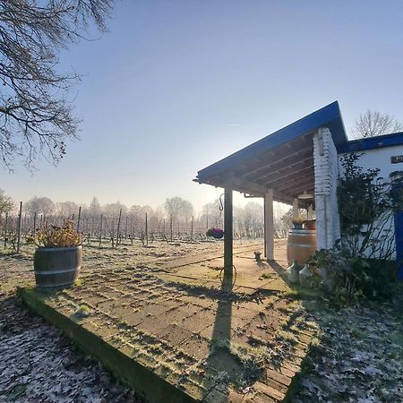 Wijnstaete Acomodação com café da manhã Lemelerveld Exterior foto