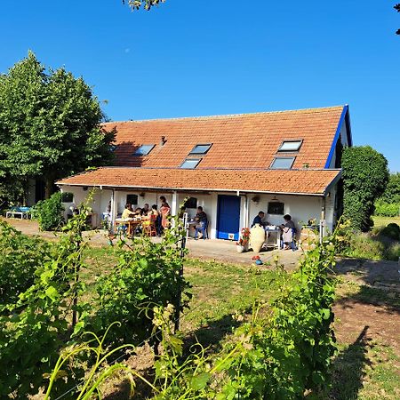 Wijnstaete Acomodação com café da manhã Lemelerveld Exterior foto